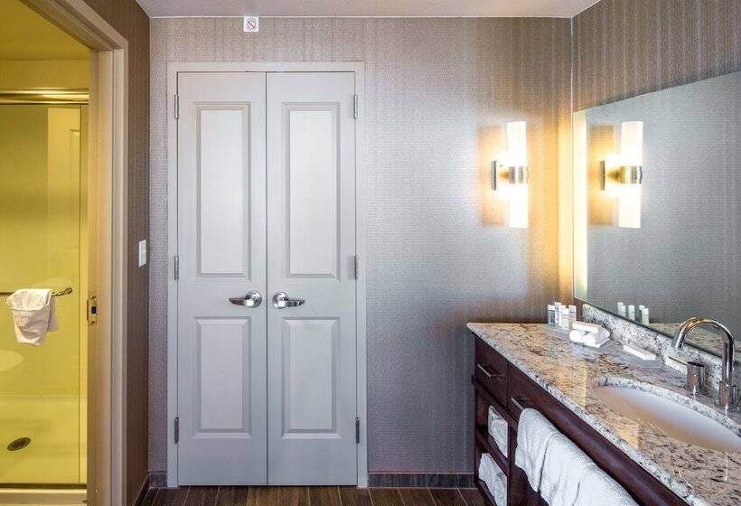 适合残疾人士使用的套间, Homewood Suites Houston Downtown