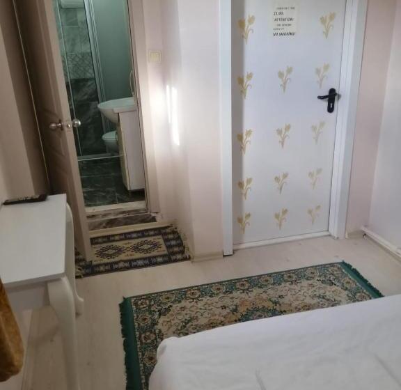 اتاق عادی, Istanbul Hotel&guesthouse