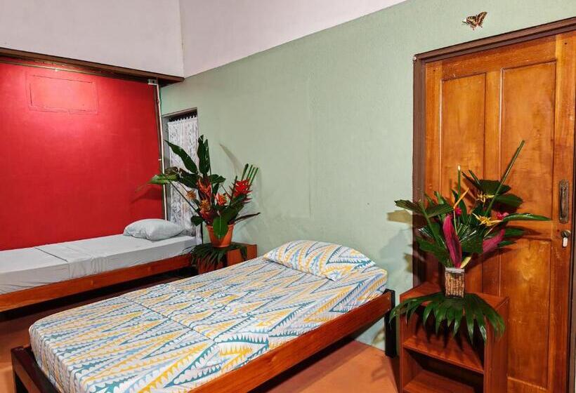 共用房间的床, Sweet Gulf Hostel