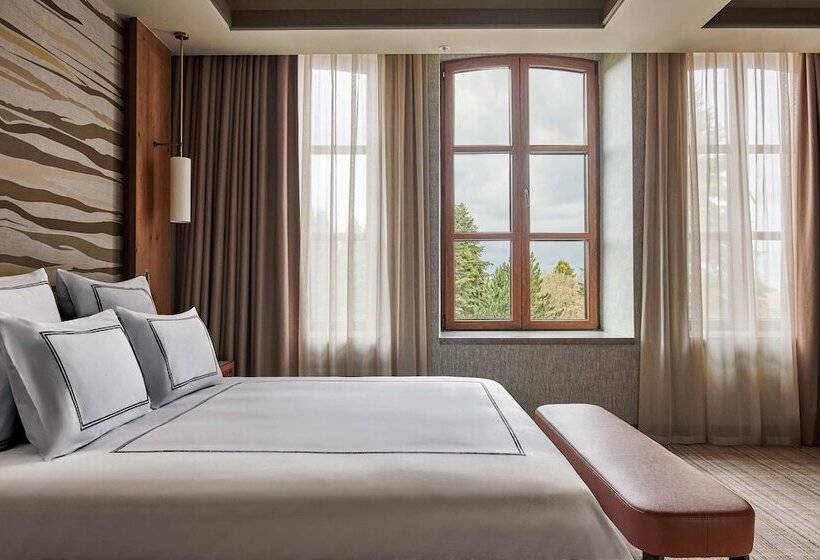 Номер Deluxe Кровать Кинг с Видом, Swissotel Uludag Bursa