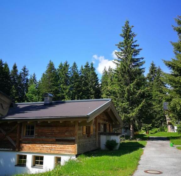 Апартаменты 1 Спальня, Astn Hütten Residenz Waldsicht Königsleiten   Ferienwohnungen