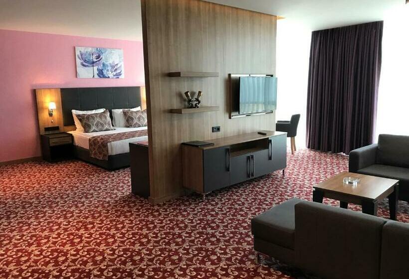 سوییت اجرایی, Euphoria Batumi Convention & Casino