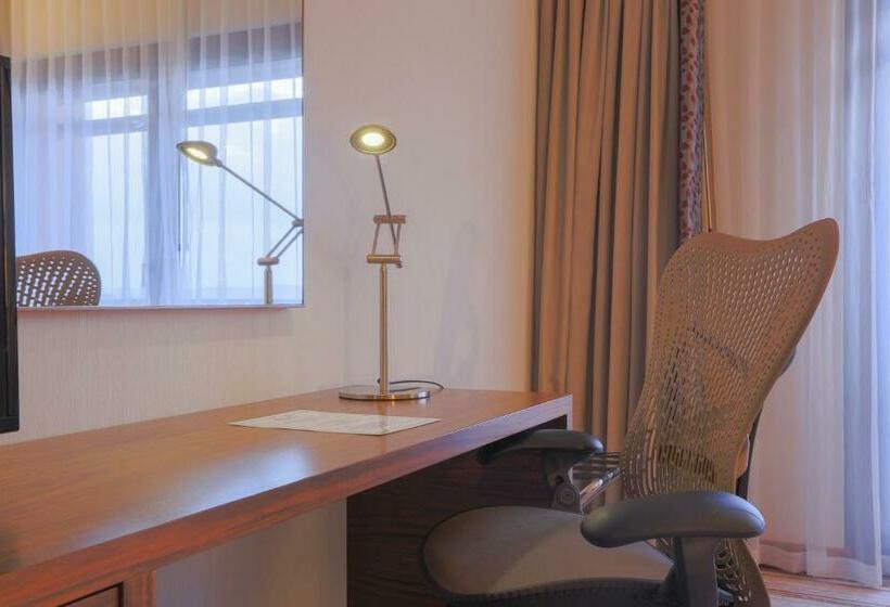 스탠다드 룸 킹사이즈 침대, Hilton Garden Inn Eskisehir