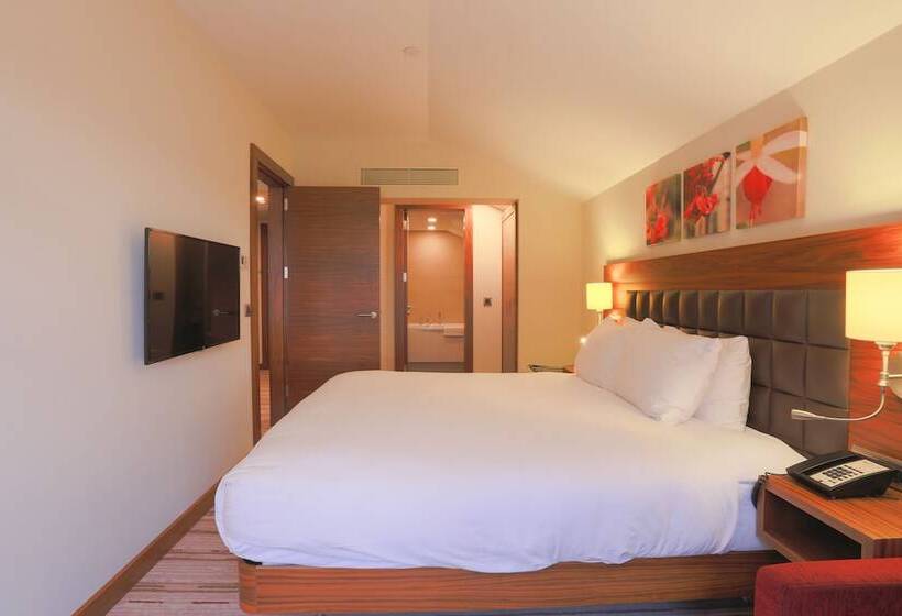 스위트 킹사이즈 침대, Hilton Garden Inn Eskisehir