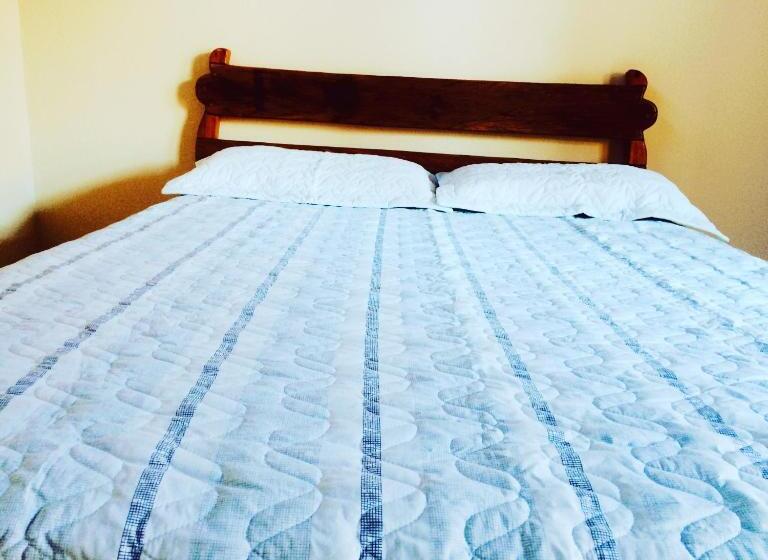 Люкс, Reges Hostel