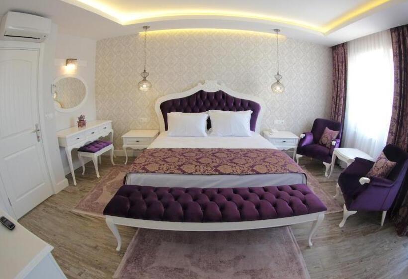 اتاق استاندارد با تخت بزرگ, Focamor Otel