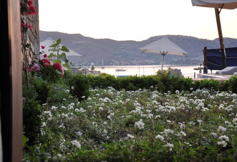 Economy Room, Badem Tatil Evi