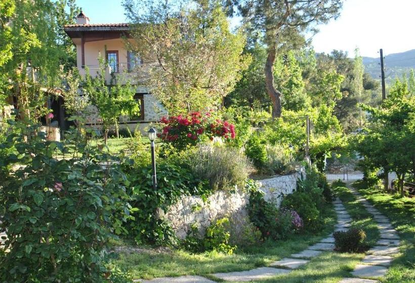 ویلای 1 خوابه, Kleo Cottages