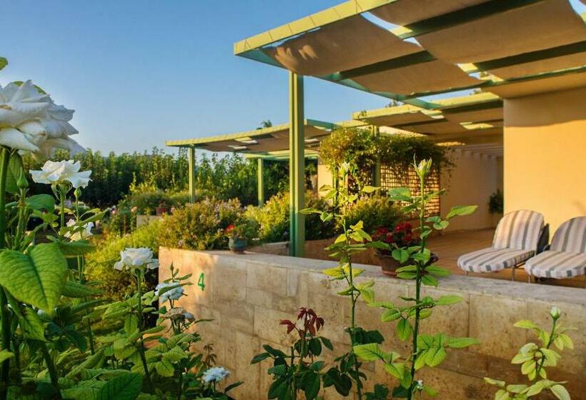 Студия Стандарт Вид на Море, Nereids Apartments