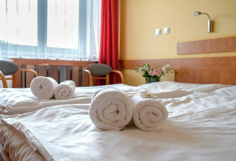 اتاق استاندارد, Ibis Styles Relax Roznov Pod Radhostem
