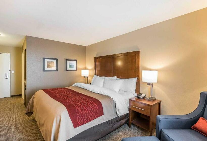 Стандартный Номер Кровать Кинг, Comfort Inn & Suites Sidney I 80
