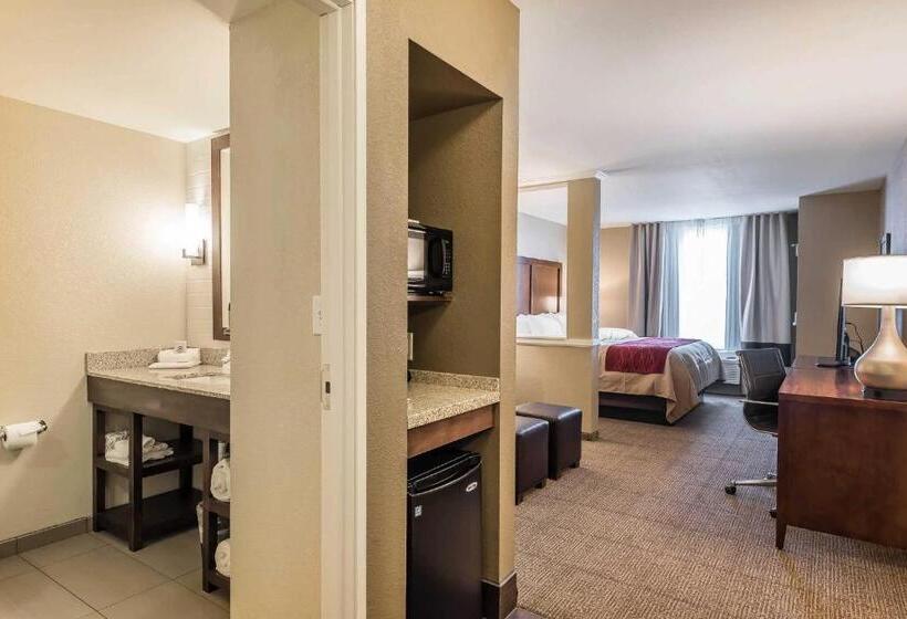 Люкс Кровать Кинг, Comfort Inn & Suites Sidney I 80