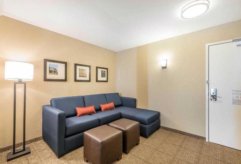 Люкс Адаптированный для Инвалидов, Comfort Inn & Suites Sidney I 80