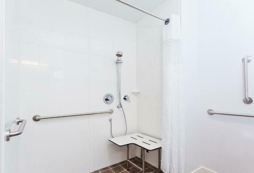 Люкс Адаптированный для Инвалидов, Hampton Inn Eufaula