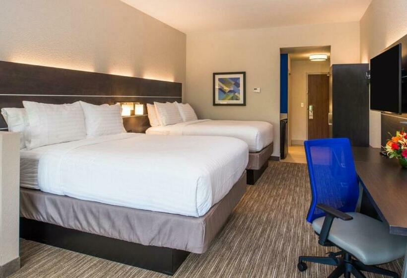 Люкс Повышенной Комфортности, Holiday Inn Express & Suites   Tampa North   Wesley Chapel, An Ihg