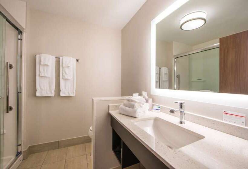 Номер Стандарт, Holiday Inn Express & Suites   Tampa North   Wesley Chapel, An Ihg
