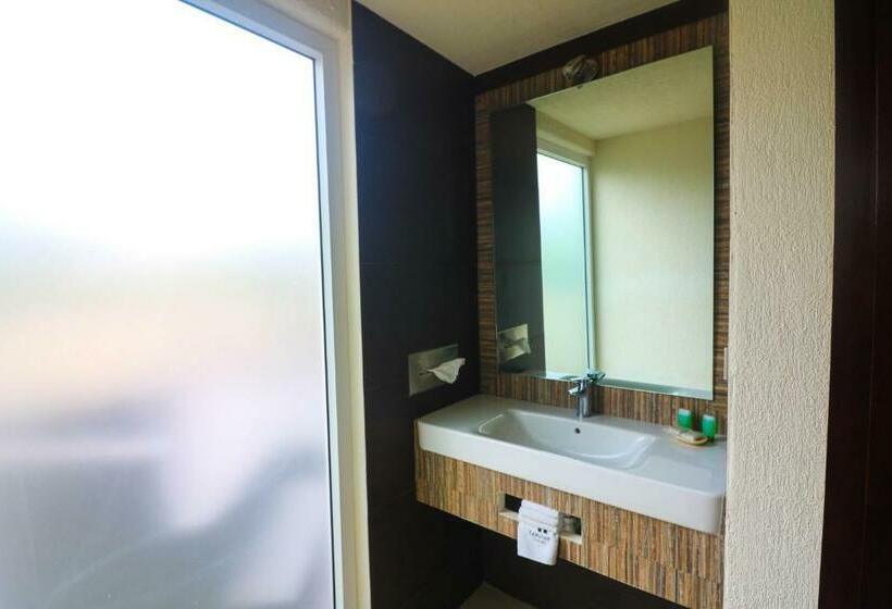اتاق استاندارد, Comfort Inn Puebla Centro Hist Rico