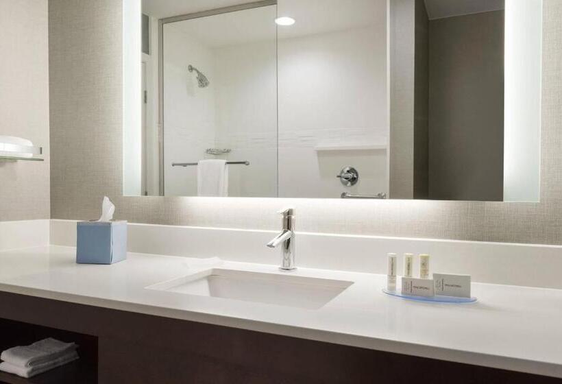 Люкс Адаптированный для Инвалидов, Residence Inn By Marriott St. Paul Woodbury