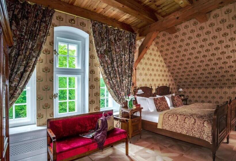 غرفة إدارية سرير كينج, Pałac Ciekocinko Hotel Resort & Wellness