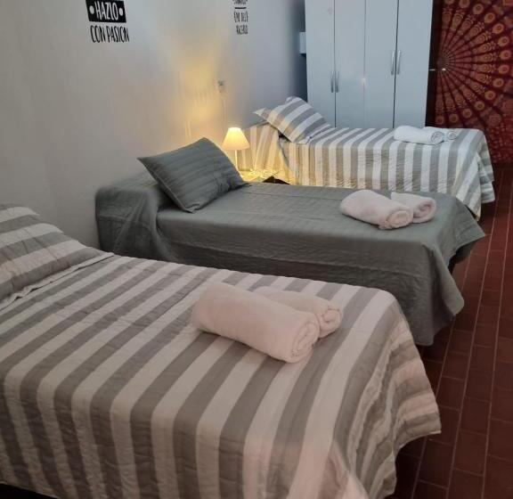 اتاق استاندارد چهار تخته, Maily Guest House