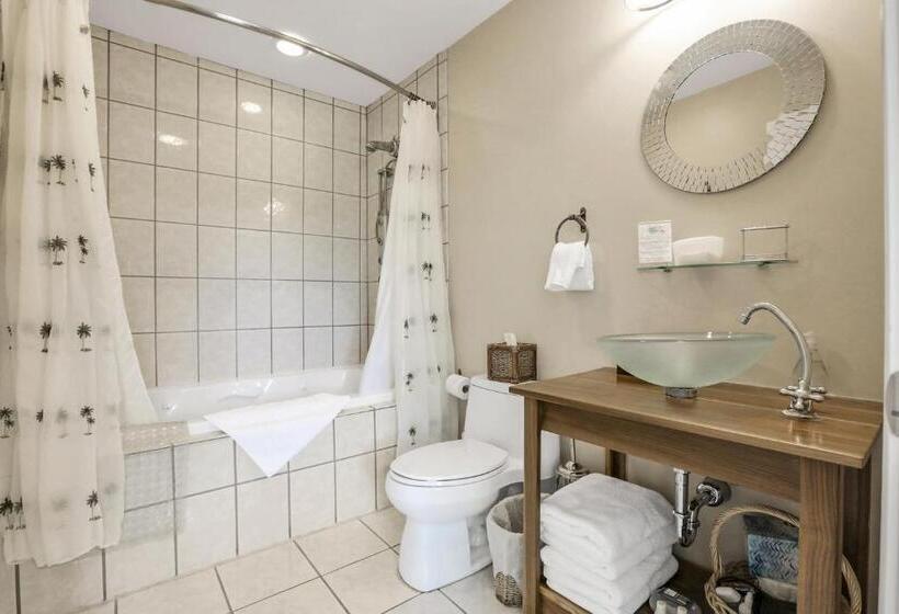 Номер Deluxe, Moondance Ridge Suites