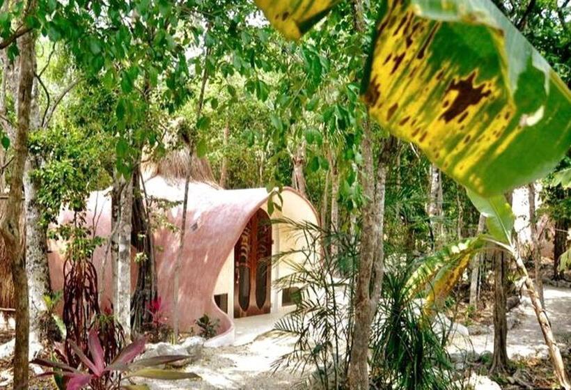Camera Standard, Room In Lodge   Eco Luxe Mayan Dome Cenote