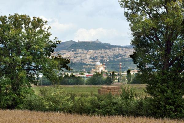 带1个卧室的公寓, Agriturismo Bellarosa