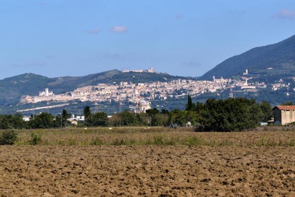 带1个卧室的公寓, Agriturismo Bellarosa