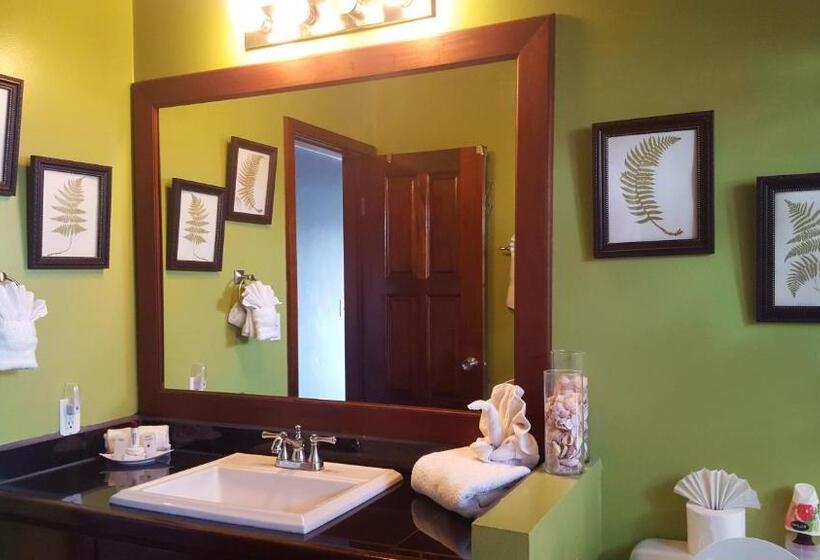 جناح ديلوكس مطل على البحر, Tres Cocos Resort