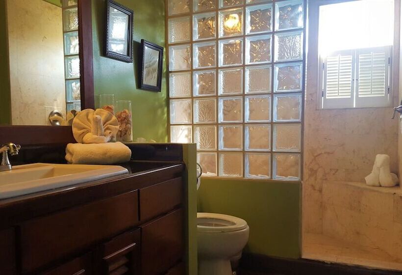 شقة غرفة واحدة مطلة على البحر, Tres Cocos Resort