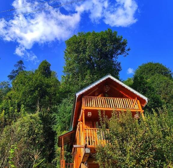 스탠다드 발코니 룸, The Tree Top Treehouse Jibhi