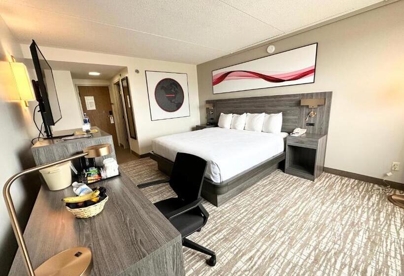 Номер Deluxe, Kiteville Cedar Rapids