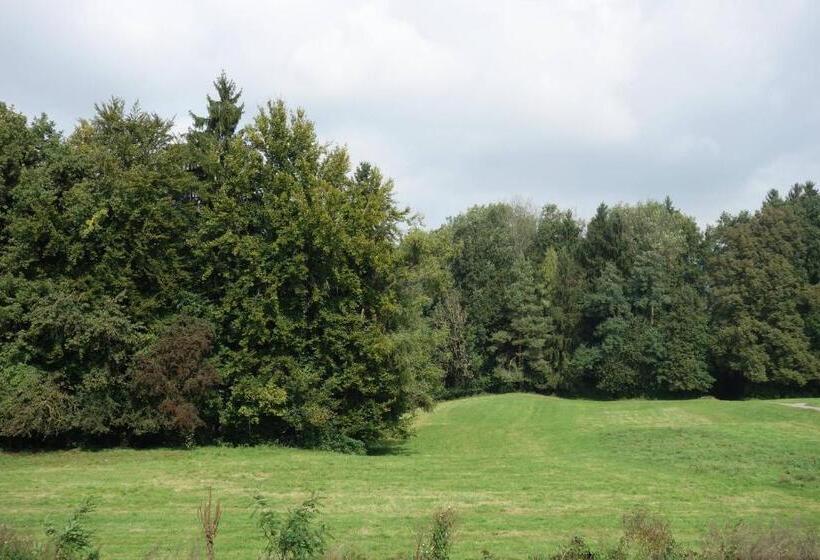 Пентхаус, Frauenfeld