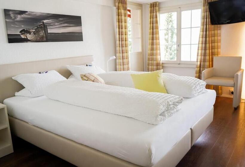 Номер Стандарт Вид на Озеро, Seehotel Baumgarten