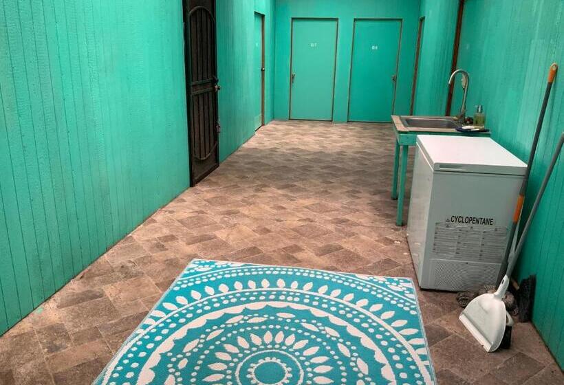 이코노미 룸, Simple Rustic Studio Deluxe Bed In Tropical Fruits Garden