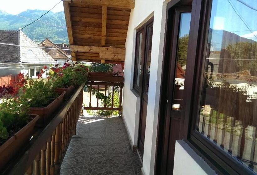 Дом 1 Спальня, Casa Piatra Craiului