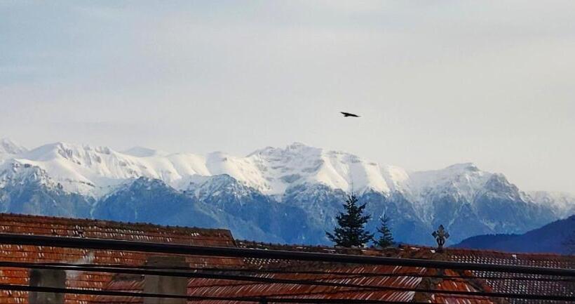 Номер Стандарт с Балконом, Casa Piatra Craiului