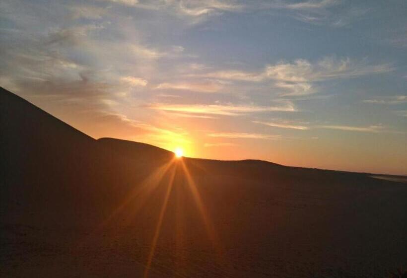 اتاق خانوادگی, Camp Iguidi Tours