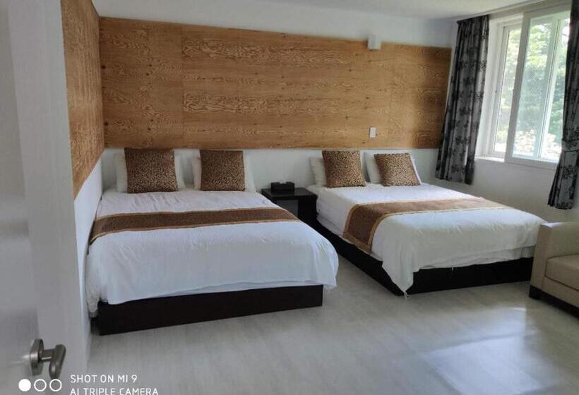 Четырехместный Номер Стандарт, Star House/星之家酒店