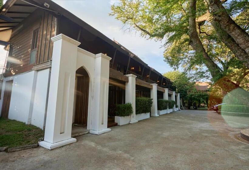 اتاق لوکس, Jambolan Chiangmai