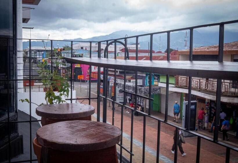标准单人间, Lolas Hostal Hab. 2
