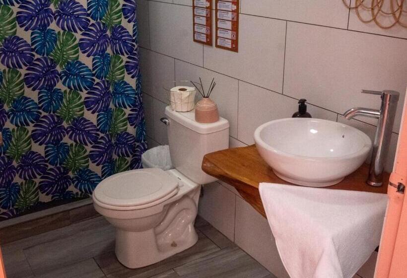 标准单人间, Lolas Hostal Hab. 2
