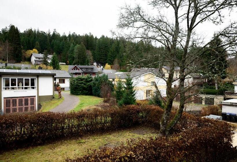 컴포트 트리플 룸, Zum See, Titisee