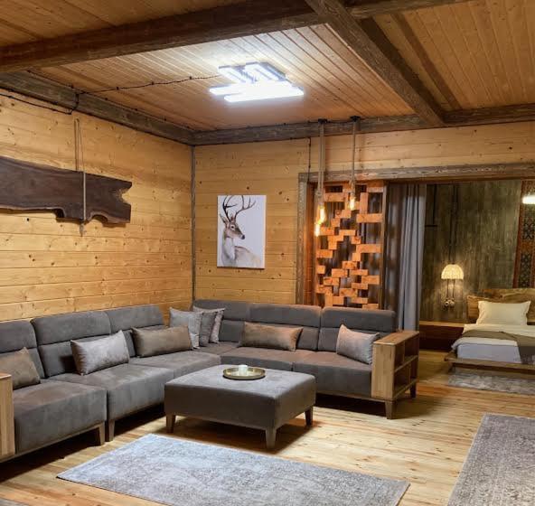 Номер Deluxe, Filin Resort