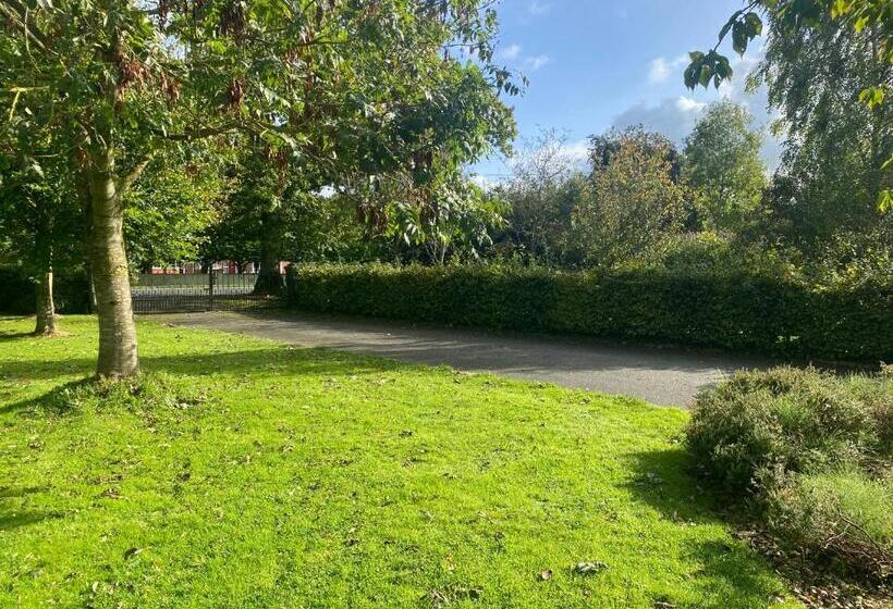 Номер Superior Кровать Кинг, Oak House Laois B&b