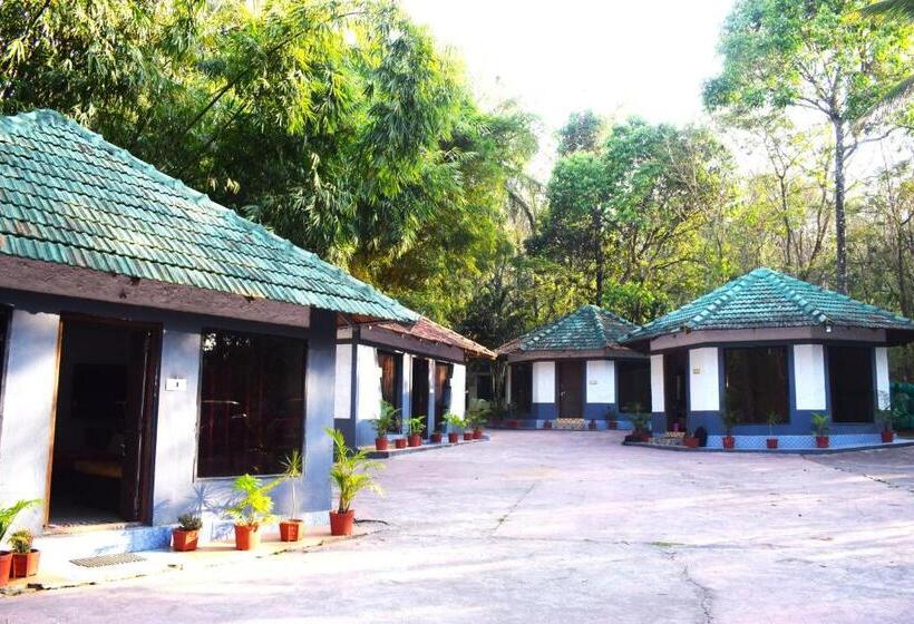 四人豪华间, Coorg Anekadu Resort