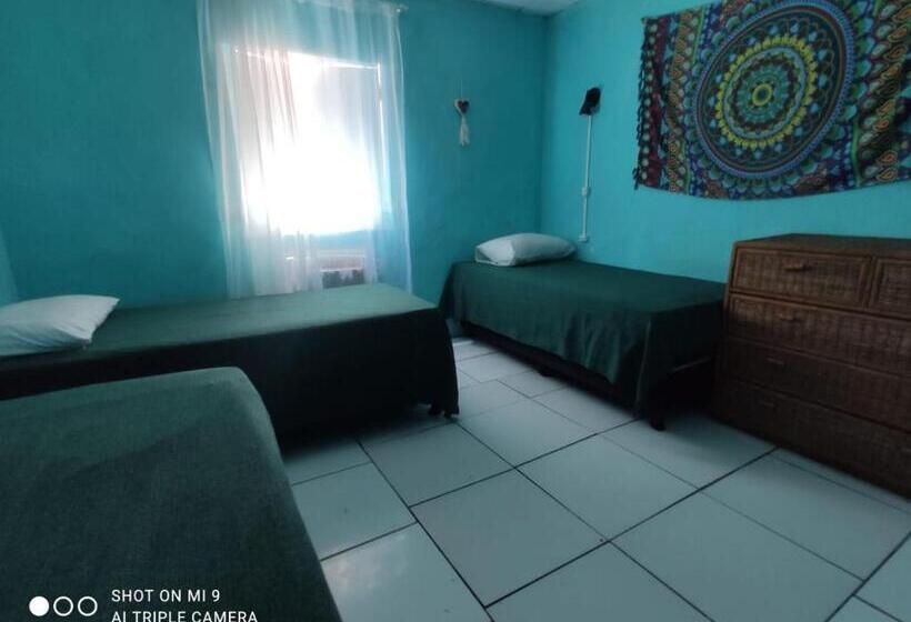 Кровать в Общей Комнате, Raizes Surf And Bar Hostel