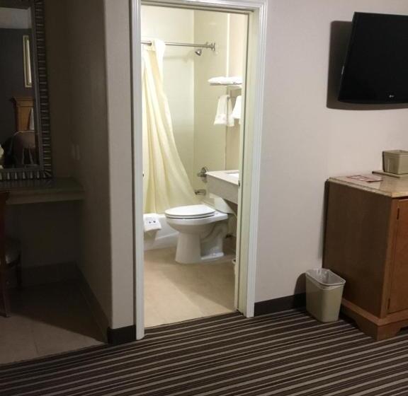 Номер Executive, Executive Inn Snyder