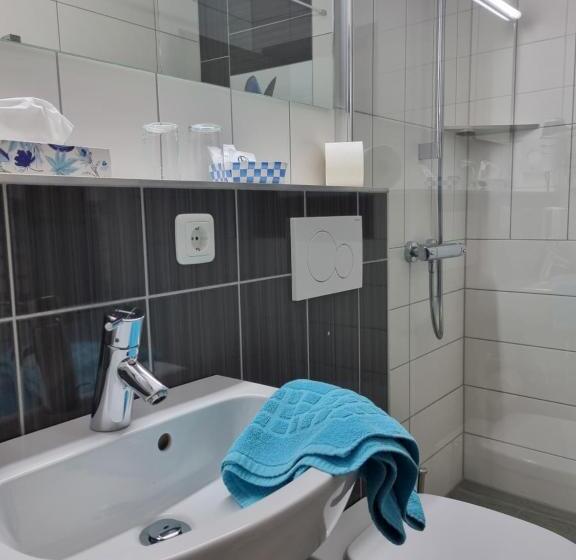Номер Стандарт, Pension Ilmhof