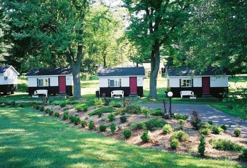 Номер Стандарт, Spring Hill Motel